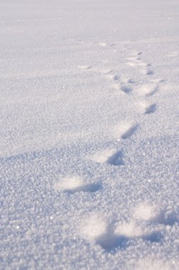 Track in snow clipart