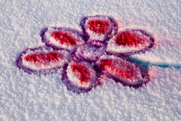 Flor de nieve — Foto de Stock