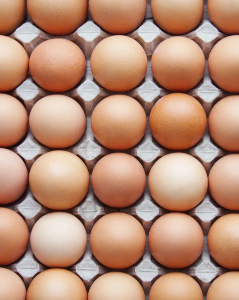 Telur ayam — Stok Foto