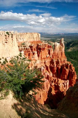 Bryce canyon