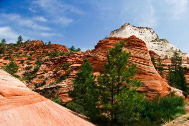 zion canyon kabartmaları