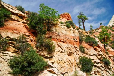 Zion canyon