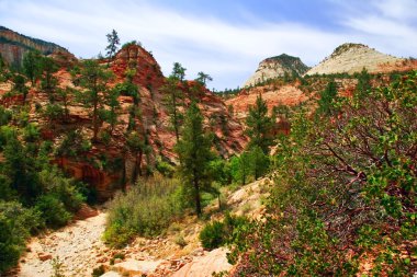 Zion canyon