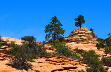 Zion canyon