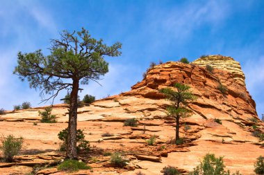 zion canyon kabartmaları