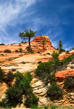 Zion canyon