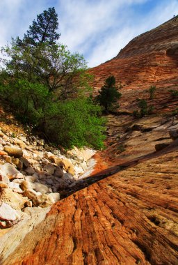 zion canyon kabartmaları