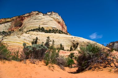 Zion canyon