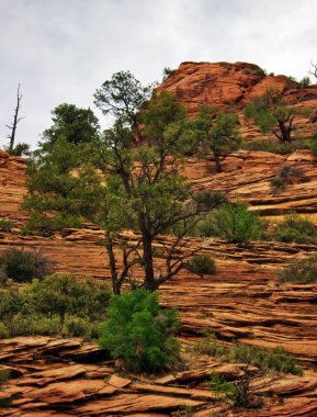 zion canyon kabartmaları