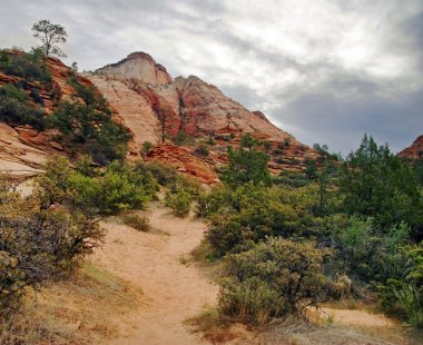 Zion canyon