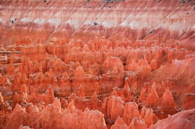 bryce canyon yamaçlarında