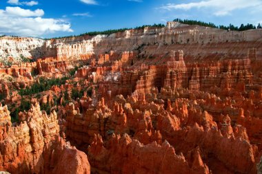 bryce canyon yamaçlarında