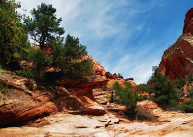 zion canyon kabartmaları