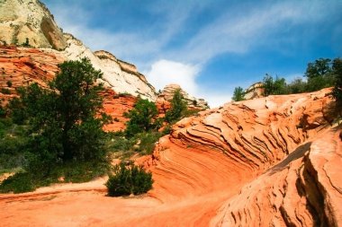 zion canyon kabartmaları