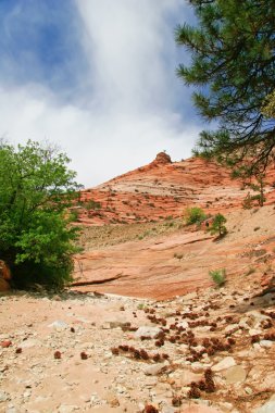 zion canyon kabartmaları