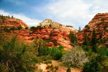 zion canyon kabartmaları