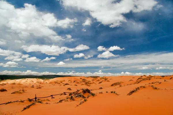 Coral Pink Sand Dunes — Stock Photo, Image