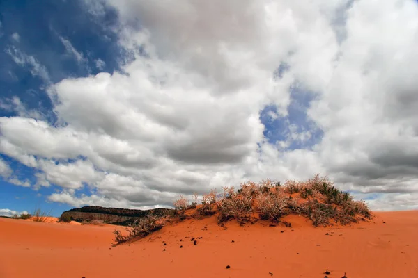 Dune di sabbia rosa corallo — Foto Stock