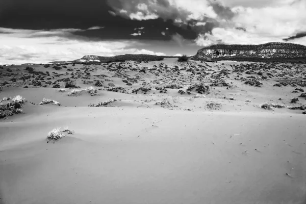珊瑚ピンクサンド砂丘 — ストック写真
