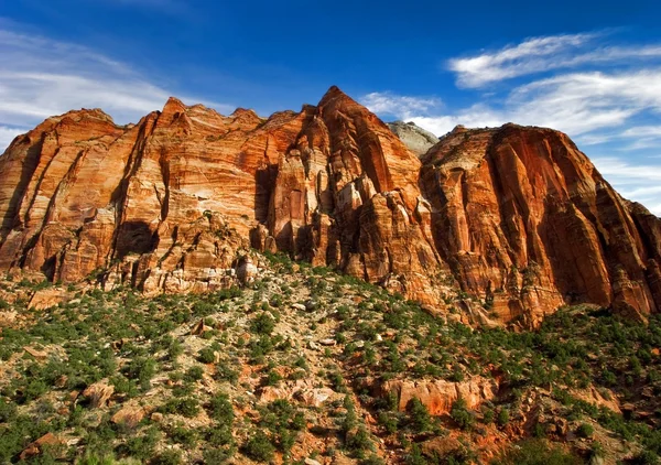 Stock image In Zion Canyon