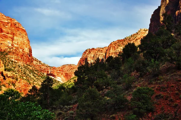 Im Zion canyon — Stockfoto