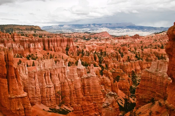 Svahy bryce canyon — Stock fotografie