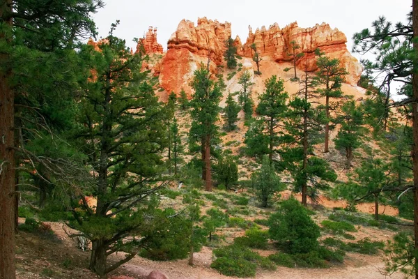 The slopes of Bryce Canyon — Stock Photo, Image
