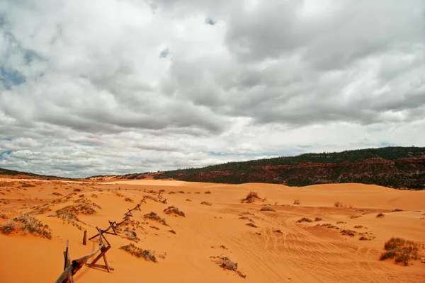 Korálové růžové písečné duny — Stock fotografie