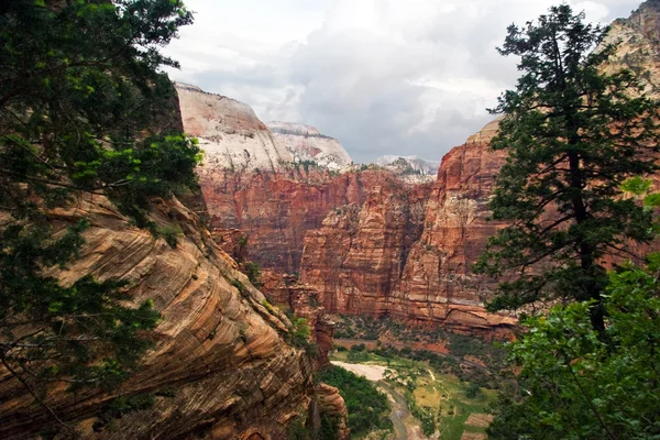Im Zion canyon — Stockfoto