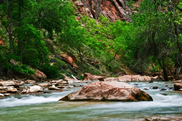 River in Zion Canyon — Stock Photo, Image
