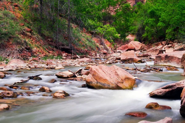 Rzeka w zion canyon — Zdjęcie stockowe