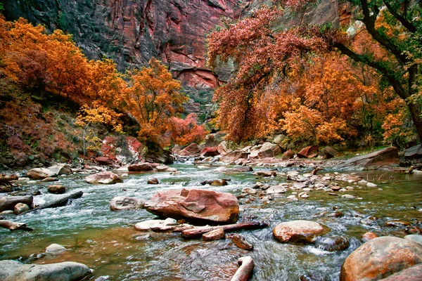 Zion canyon-folyó — Stock Fotó
