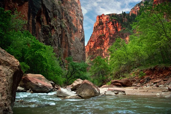 Floden i zion canyon — Stockfoto