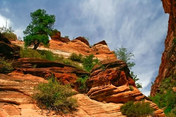 Reliefs of Zion Canyon — Stock Photo, Image