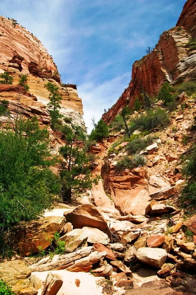 In Zion Canyon — Stockfoto