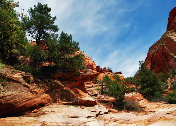 Reliefs of Zion Canyon — Stock Photo, Image