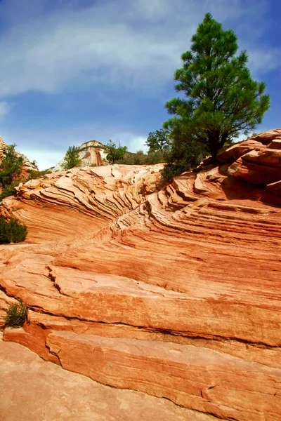 Płaskorzeźby zion Canyon — Zdjęcie stockowe