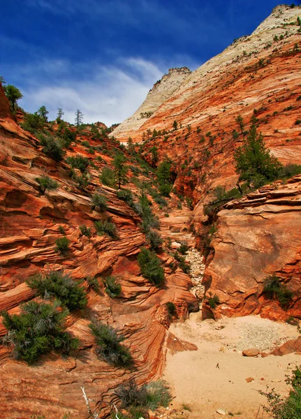 Płaskorzeźby zion Canyon — Zdjęcie stockowe