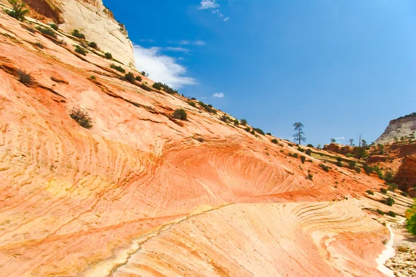Рельефы каньона Сион — стоковое фото