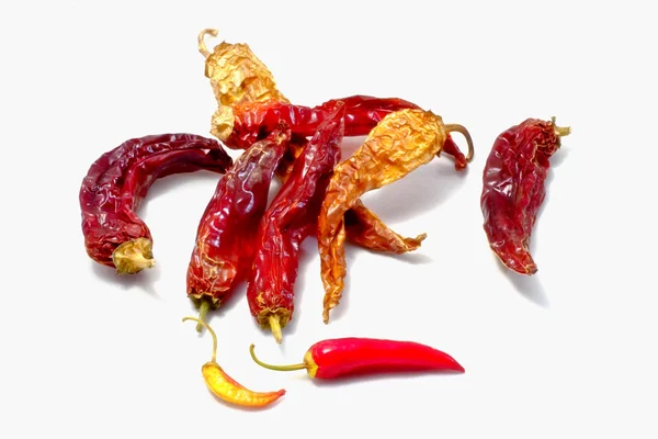 Fresh and dry chilli — Stock Photo, Image