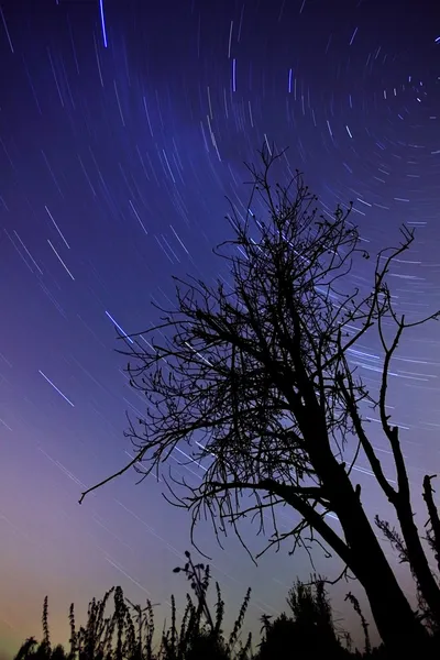夜の星の軌跡 — ストック写真