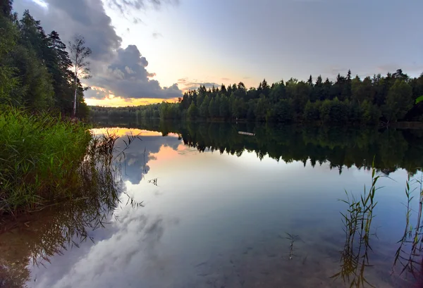 Summer lake — Stock Photo, Image