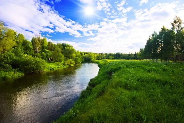 河附近的绿色领域 — 图库照片