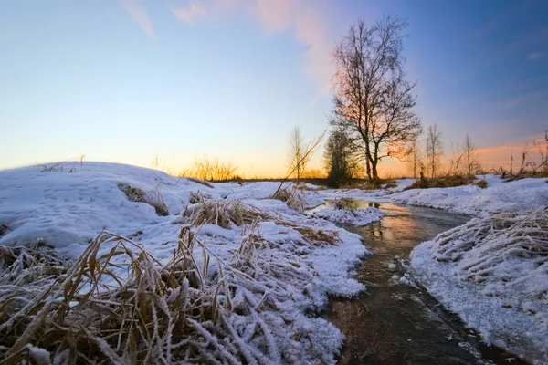 Nel campo invernale . — Foto Stock