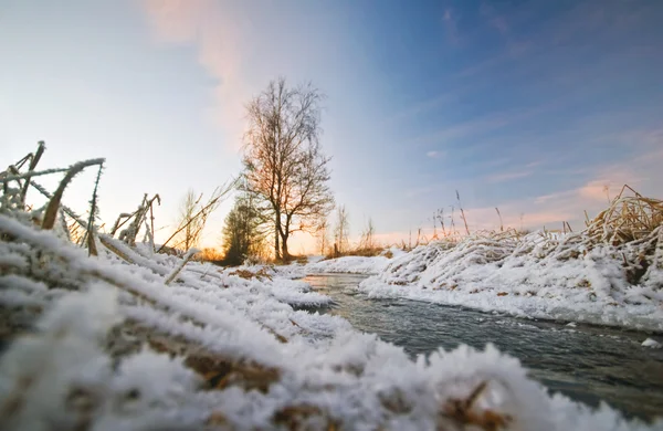 В зимнем поле . — стоковое фото