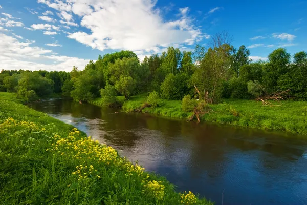 Zelené louce u řeky — Stock fotografie