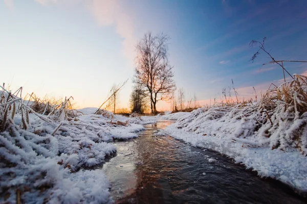 In de winter-veld. — Stockfoto