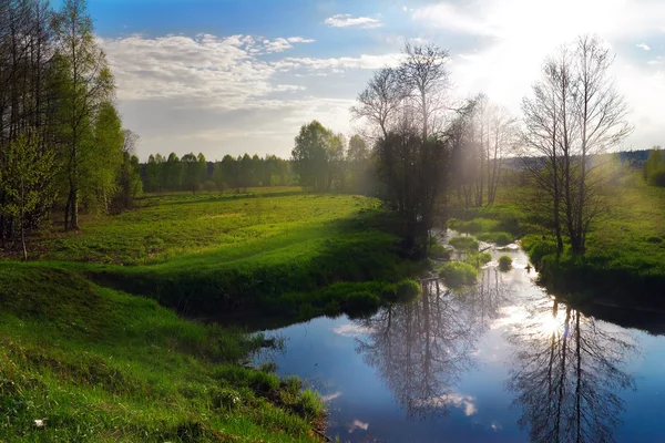 Зеленое поле возле реки — стоковое фото