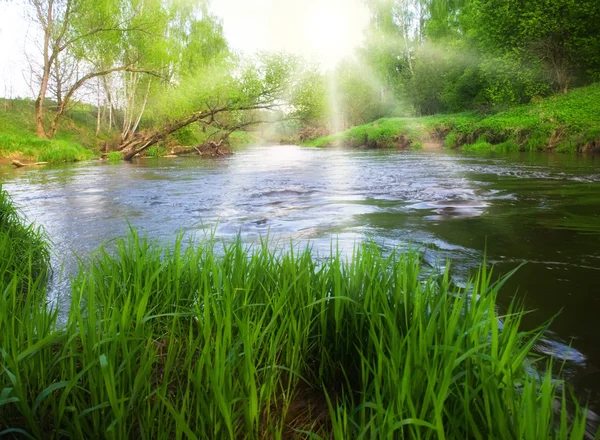 Dromerige zomer rivier. — Stockfoto