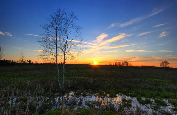 Zonsondergang in het veld — Stockfoto